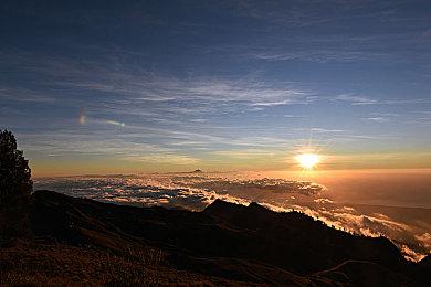 国产谍战文字解谜游戏《谍：惊蛰》Steam页面上线 试玩Demo已公布